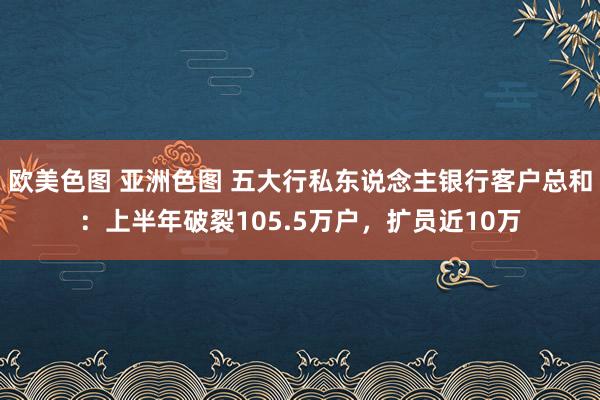 欧美色图 亚洲色图 五大行私东说念主银行客户总和：上半年破裂105.5万户，扩员近10万