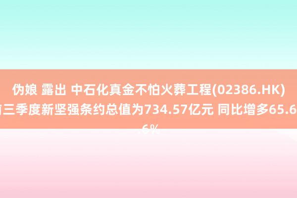 伪娘 露出 中石化真金不怕火葬工程(02386.HK)前三季度新坚强条约总值为734.57亿元 同比增多65.6%