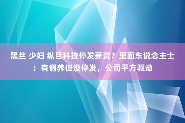 黑丝 少妇 纵目科技停发薪资？里面东说念主士：有调养但没停发，公司平方驱动