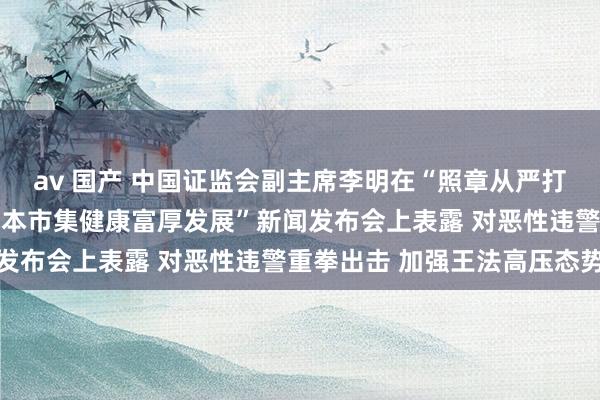 av 国产 中国证监会副主席李明在“照章从严打击证券违警作歹 促进成本市集健康富厚发展”新闻发布会上表露 对恶性违警重拳出击 加强王法高压态势