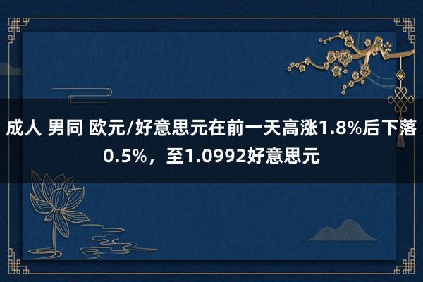 成人 男同 欧元/好意思元在前一天高涨1.8%后下落0.5%，至1.0992好意思元