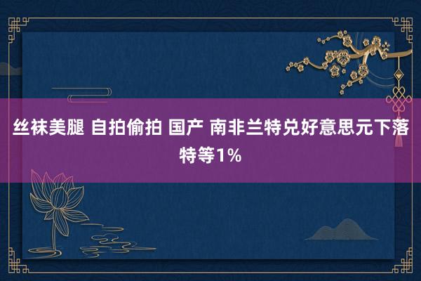 丝袜美腿 自拍偷拍 国产 南非兰特兑好意思元下落特等1%